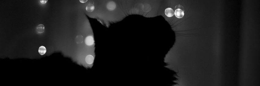 JustAceDias's profile banner image