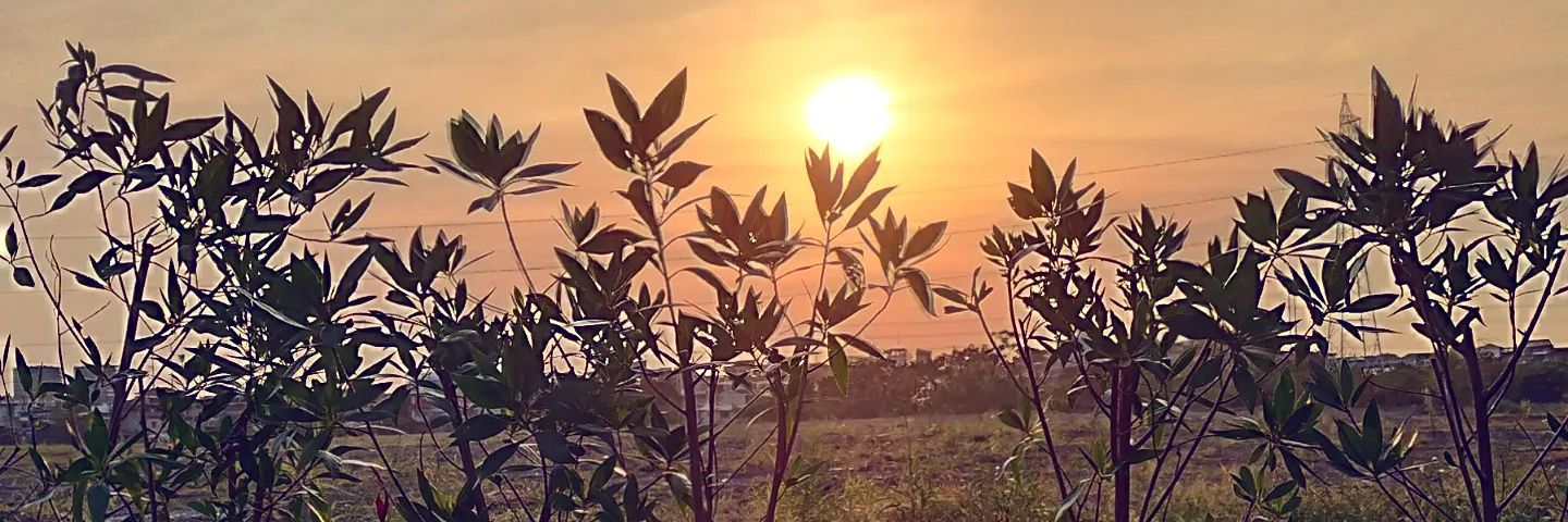 aggituh's profile banner image