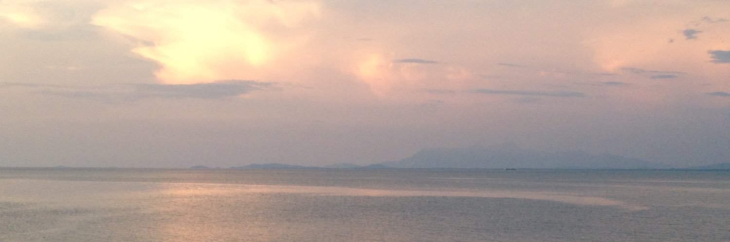 Kiki & Happy (RIP 🐾🌈💔) banner