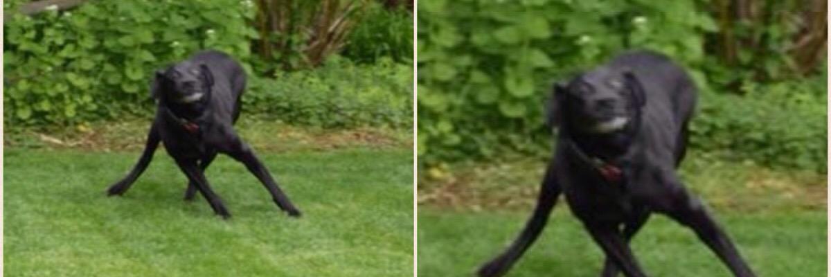 taylor_stone7's profile banner image