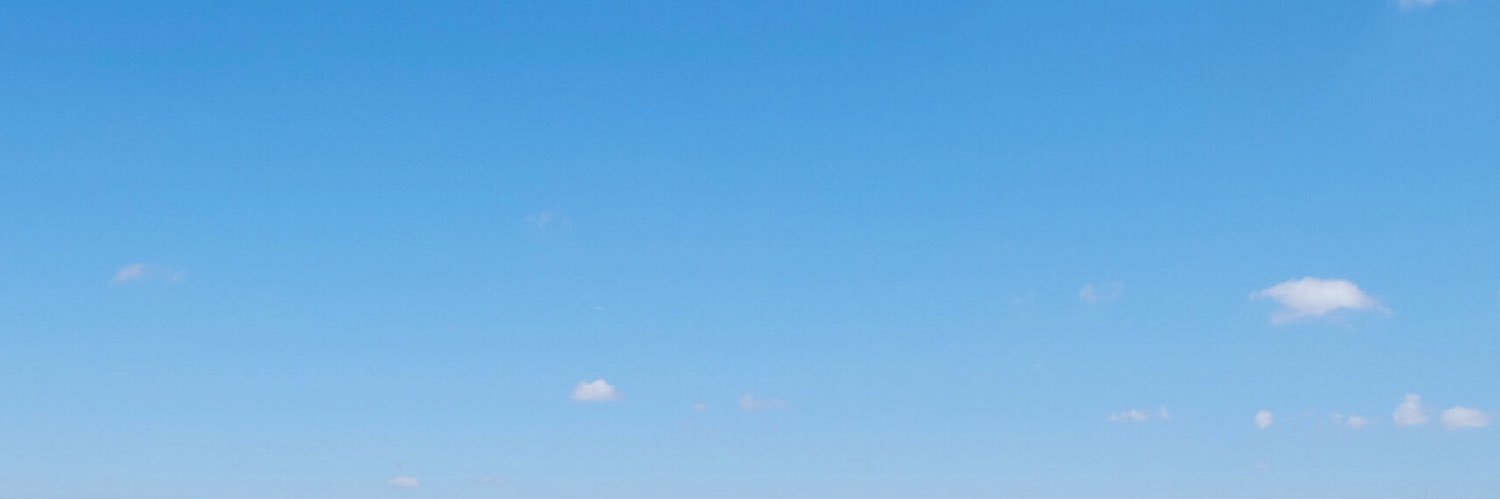 🦊 banner