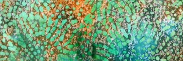 theDelhiStore Profile Banner