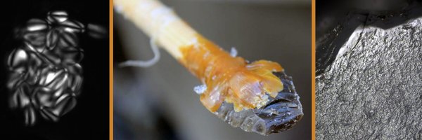 traceolab Profile Banner