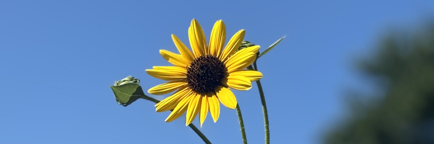 _HighYello's profile banner image