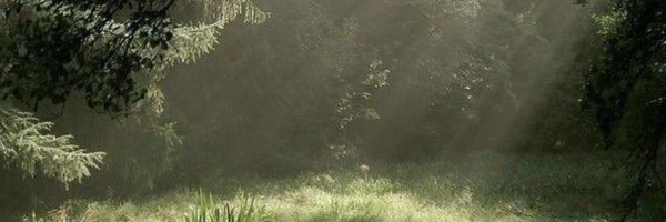 criesofthewild Profile Banner