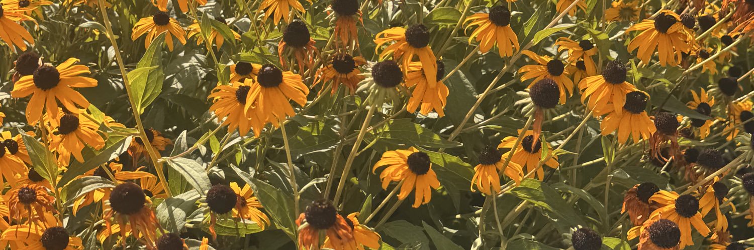 ChristinaaaW's profile banner image
