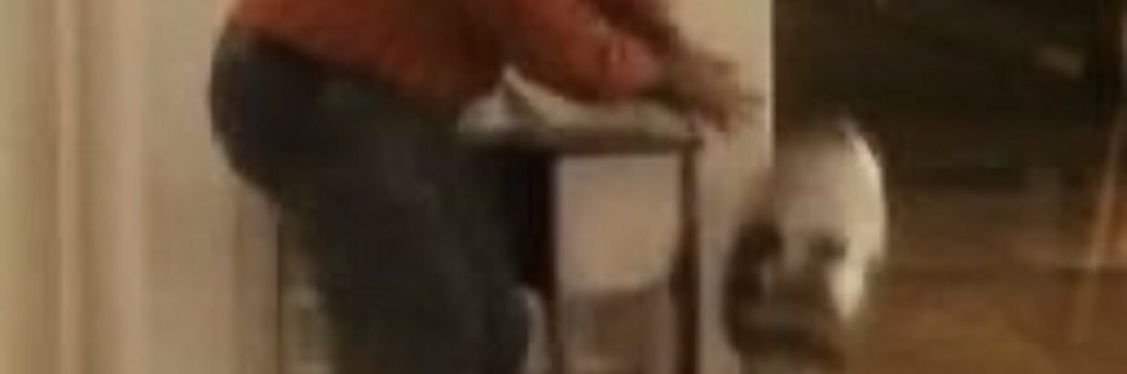 haklisin elmas banner