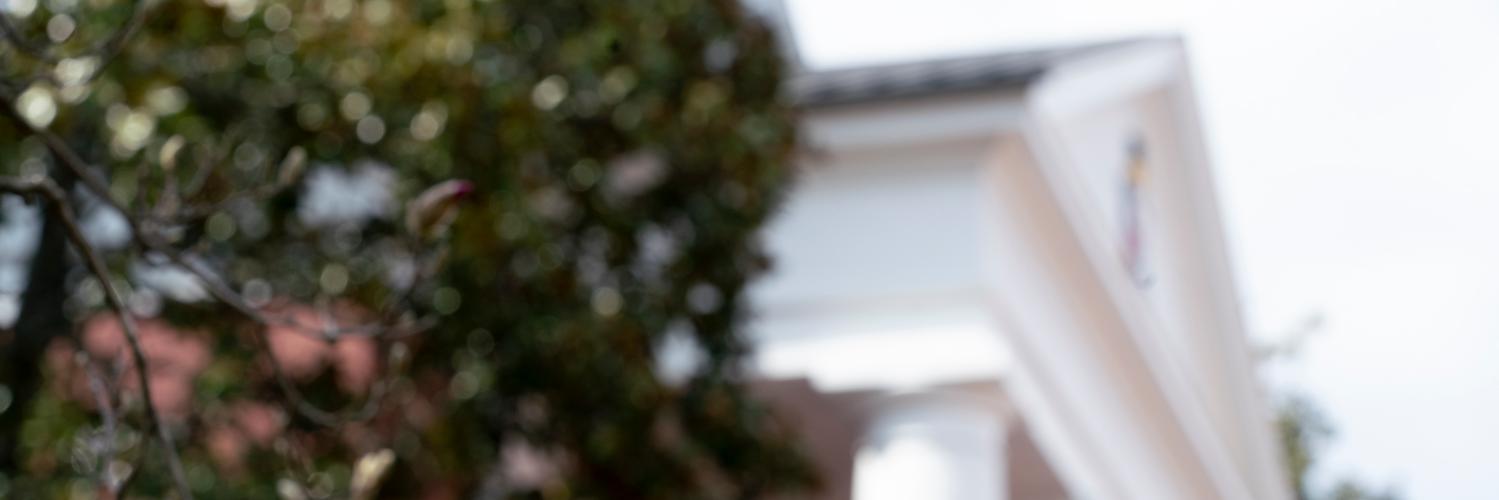 W&L Williams School banner