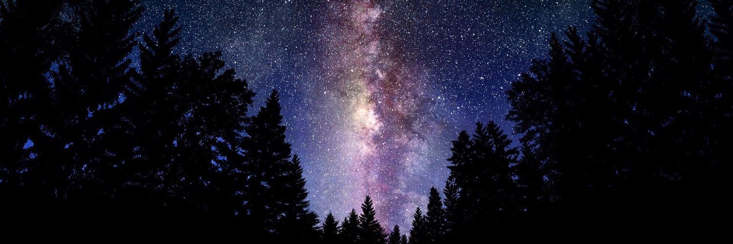 Alicia_Biddle's profile banner image