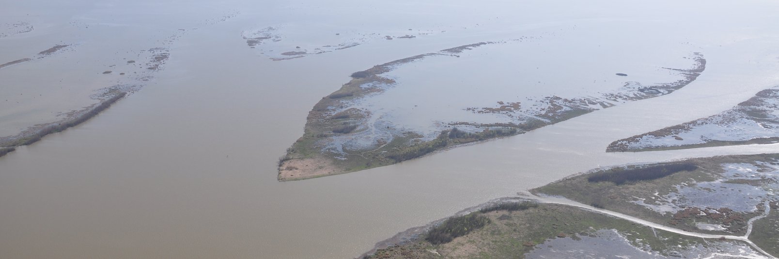 LSU Coastal Studies banner