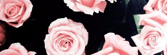 Kayleeyelton's profile banner image