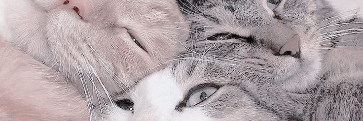 jxstdxxt's profile banner image