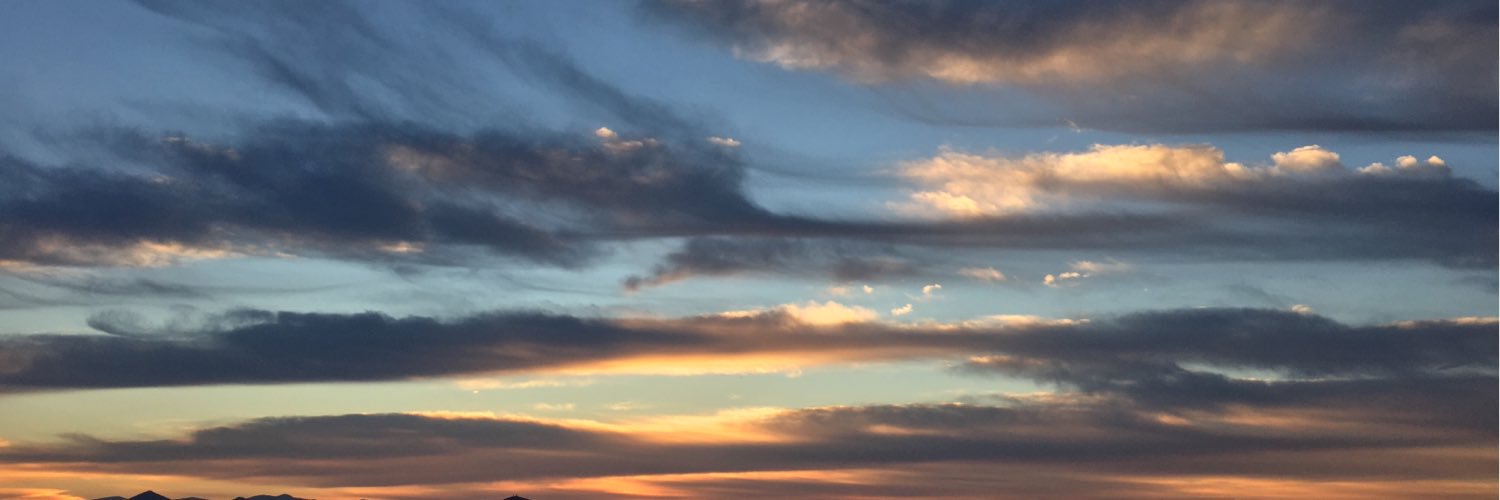 Ashley Honor🇺🇸🇺🇦💙 banner