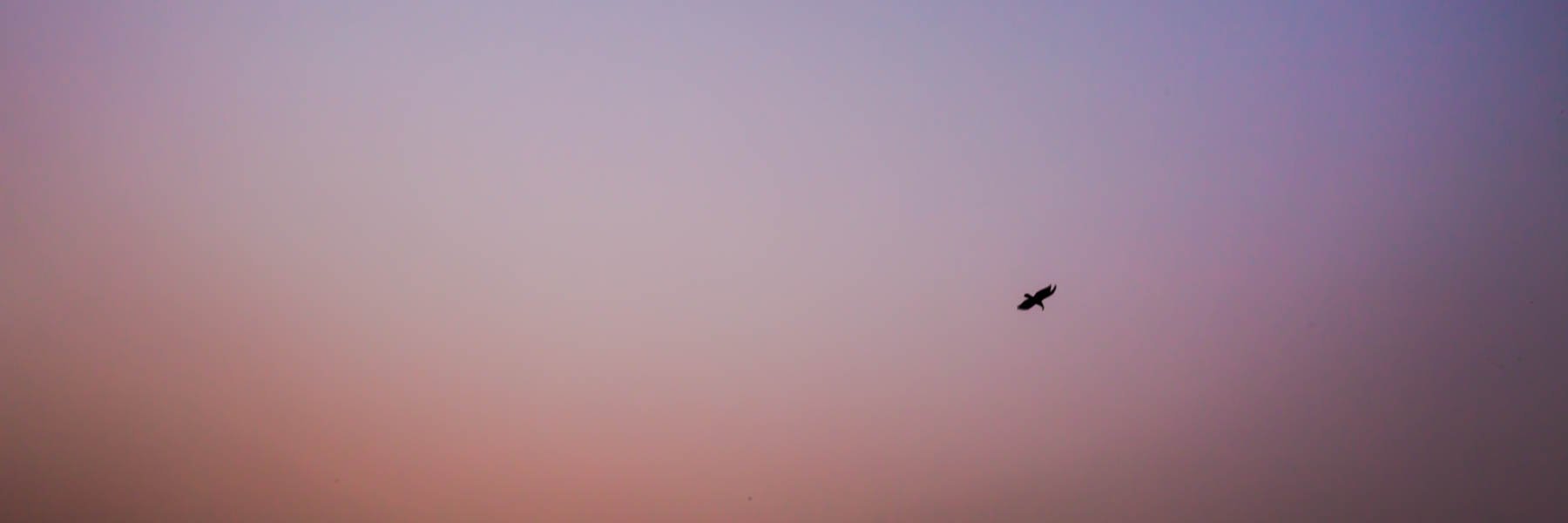 prasadjindam's profile banner image