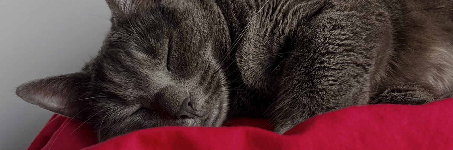Marion_Deleye's profile banner image