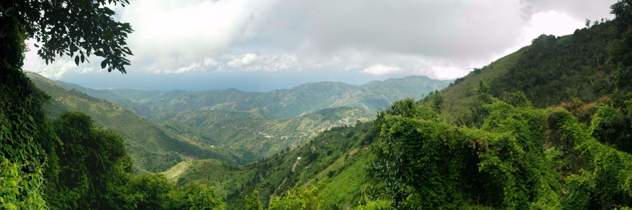 MetserviceJA's profile banner image