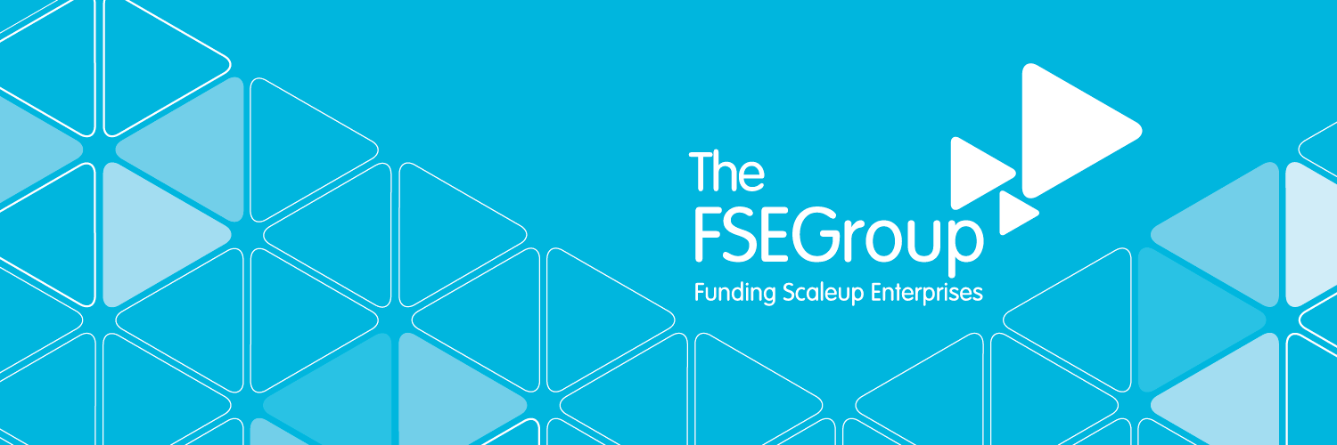 The FSE Group banner
