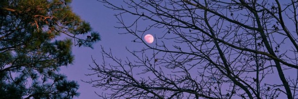 xpolexia's profile banner image
