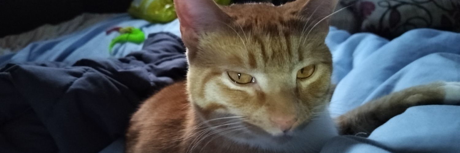 Miramira Endevall banner