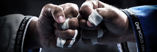 BJJ World banner