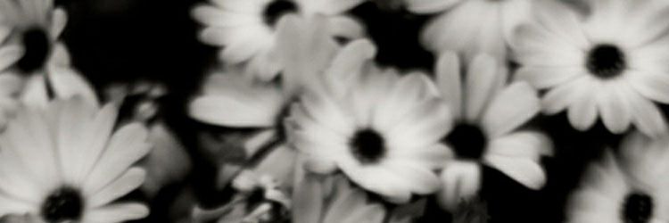 LoganNicole24's profile banner image