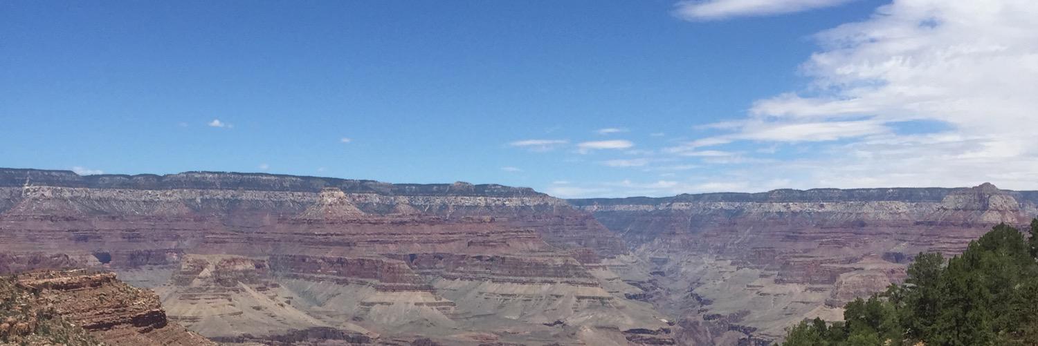 shelbrown14's profile banner image