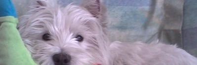 haileen34's profile banner image