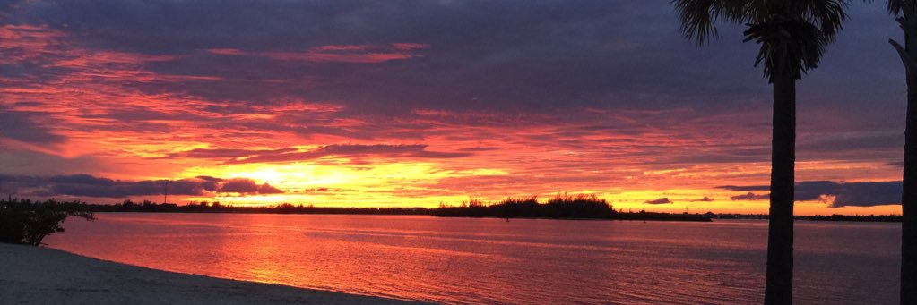 Guy McCloskey banner