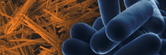 Qube_Environ's profile banner image