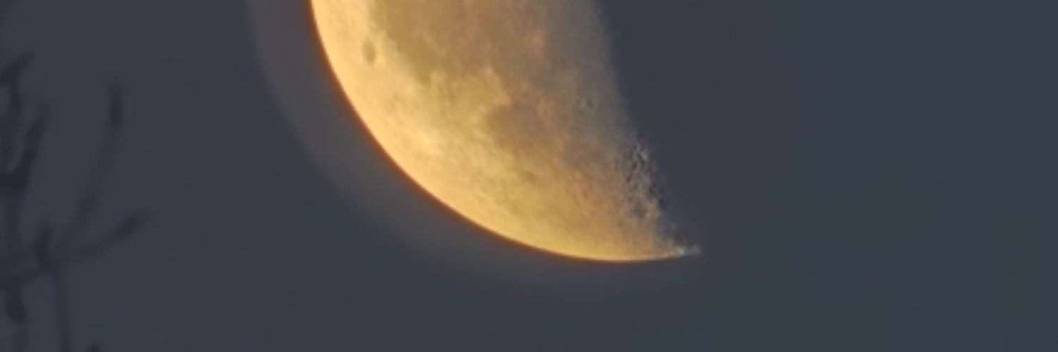 .•° 𝓝𝓪𝓽𝓪𝓵𝓲𝓮 °•. banner