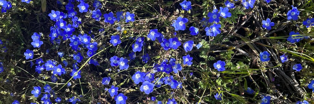 Lindsay Reilly banner