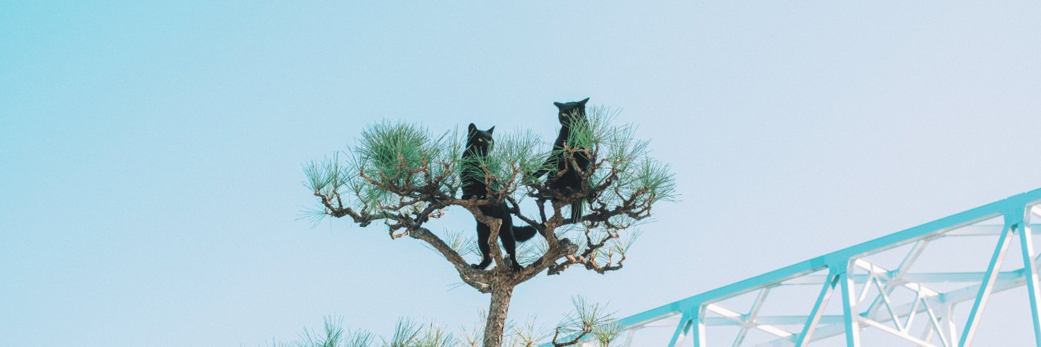 น้องหัวส้มอยากมีส่วนร่วม (บ่นงาน) banner