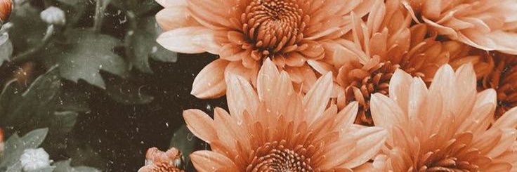 bethramseyy's profile banner image