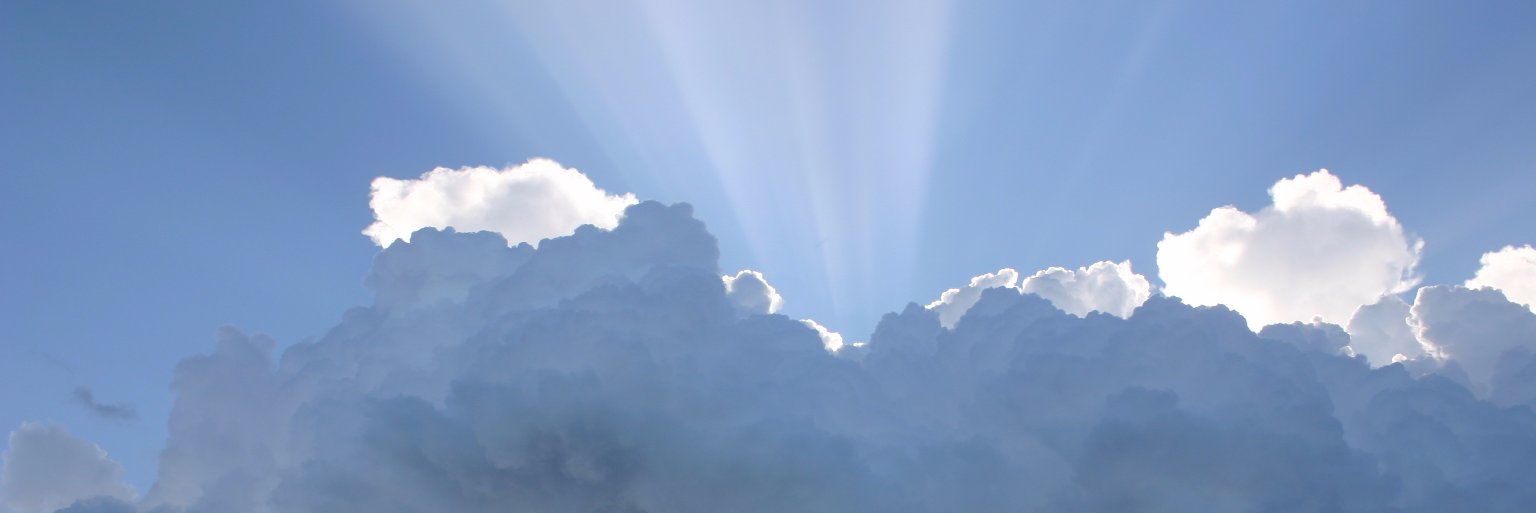 lucca_bozzi's profile banner image