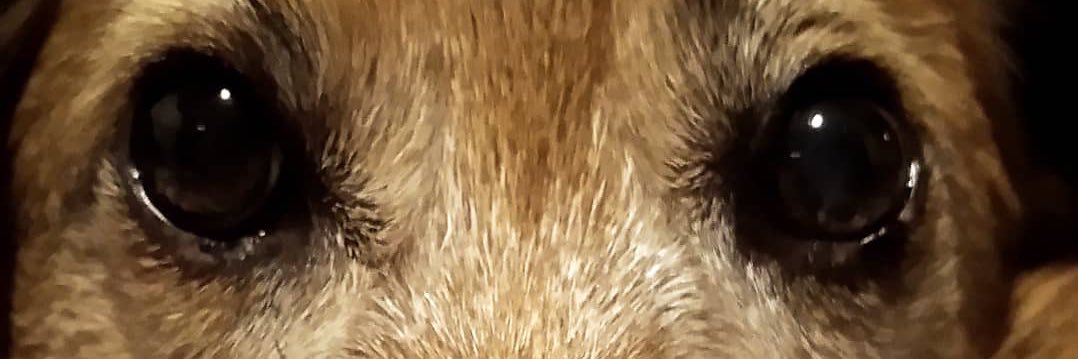 trutizz's profile banner image