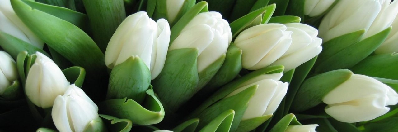 eclerecreme's profile banner image