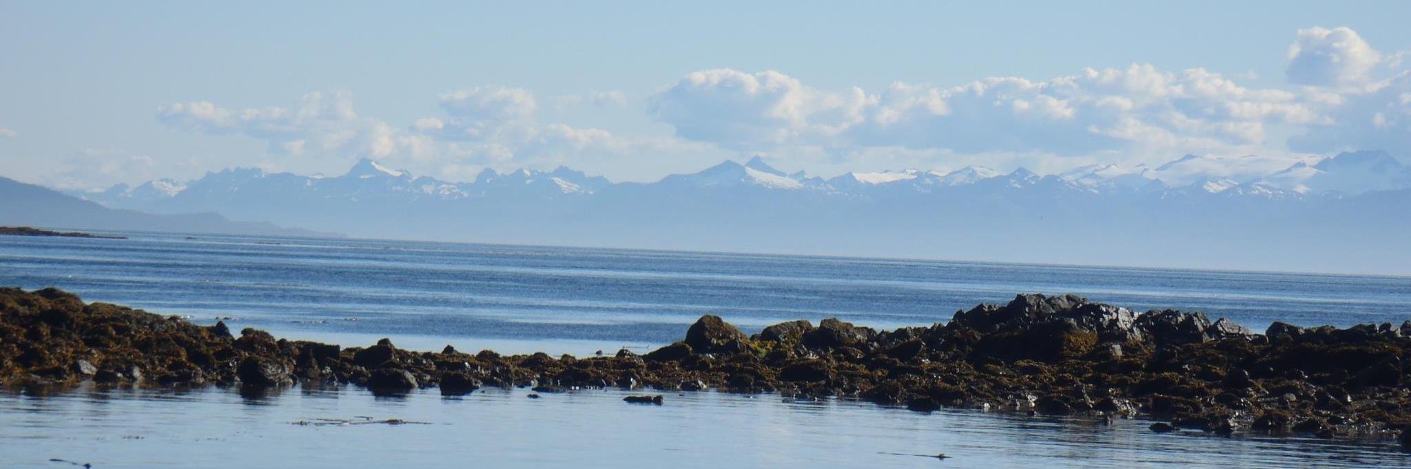 GregorZimmer's profile banner image
