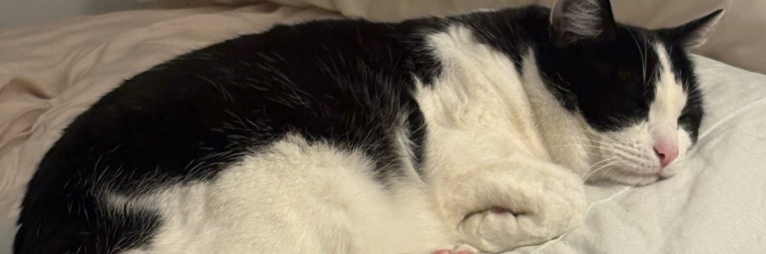 HB | FRISBEE ✪ banner