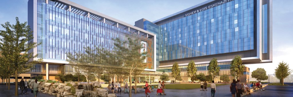 Travis L. Healey MD banner