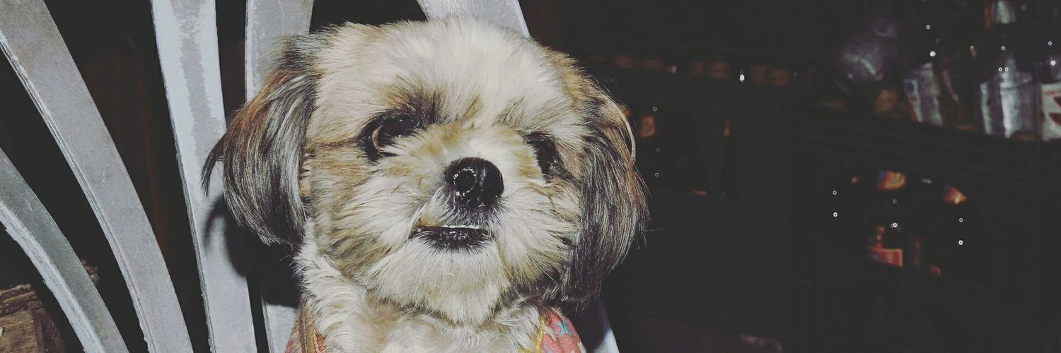 BenyaPernpet's profile banner image