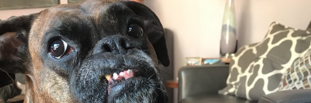 mitch_rodman's profile banner image