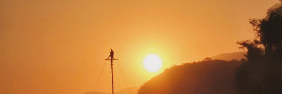 E_andiB's profile banner image