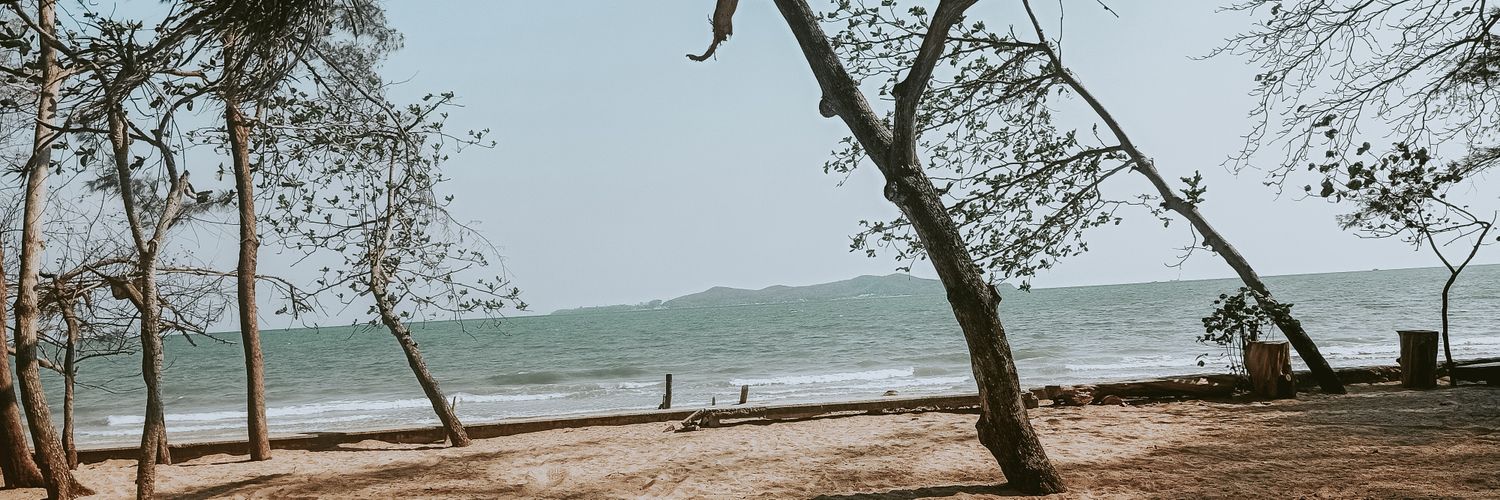 Waynisaas's profile banner image