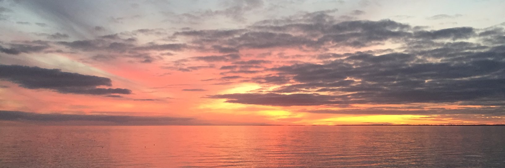 DaneinLondon's profile banner image
