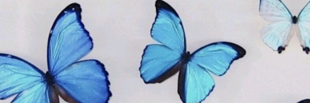 FloreenciaBC's profile banner image