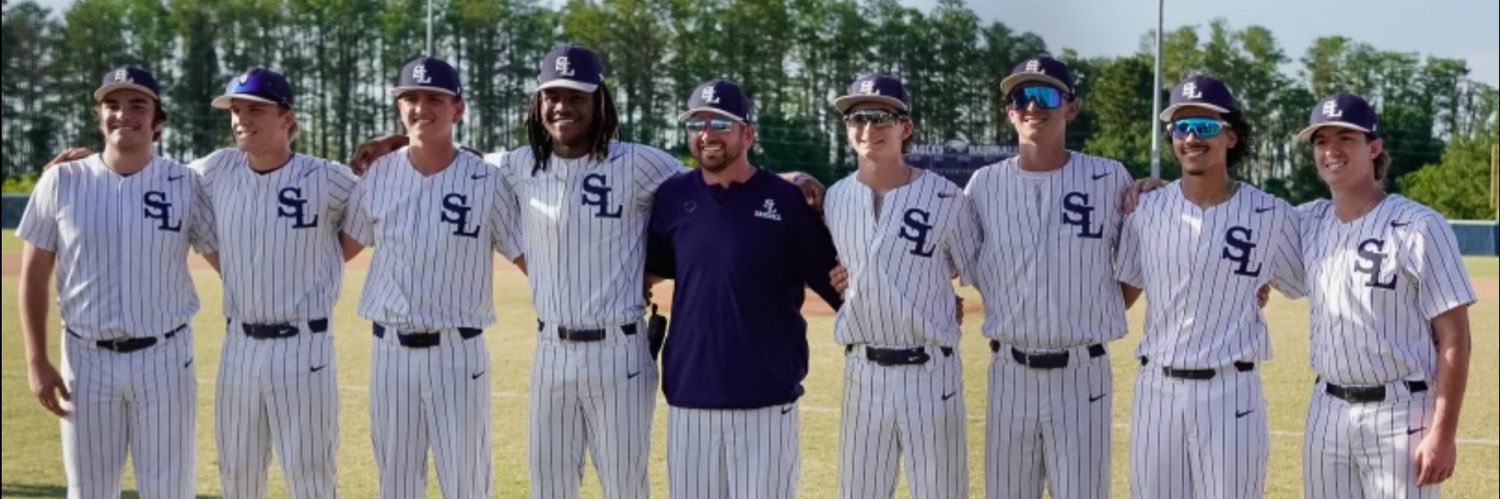 SLHS Eagles Baseball banner