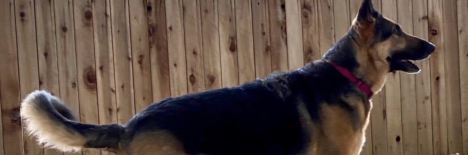 Jerry Critter banner