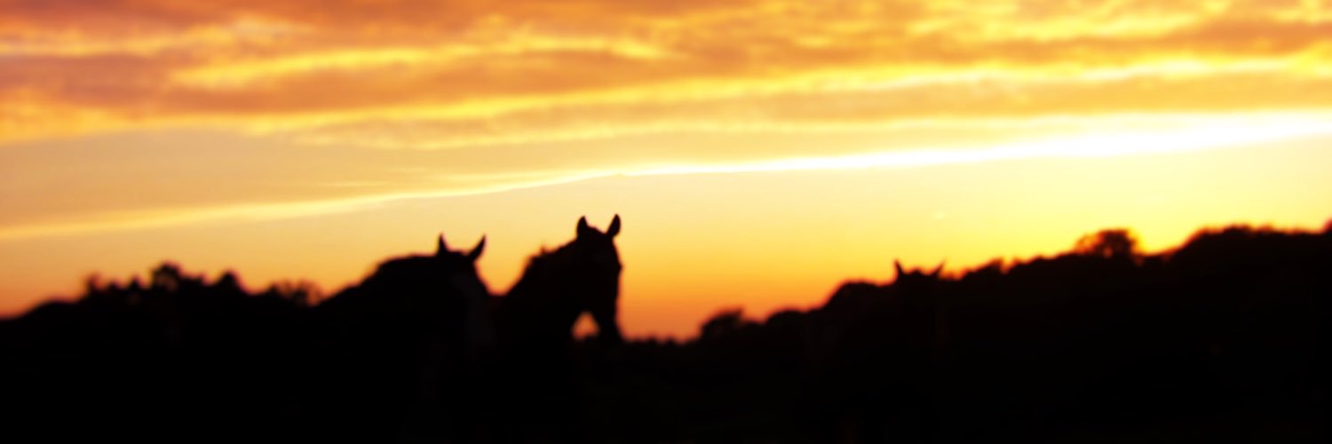 ashiaash12's profile banner image