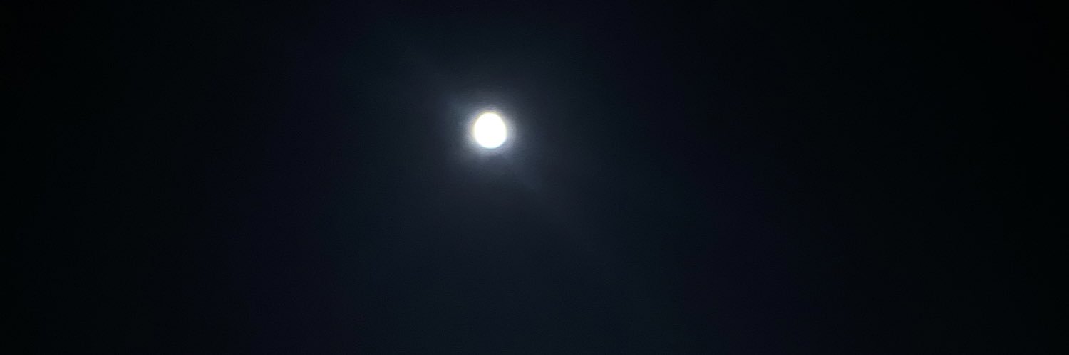 unicornflying_'s profile banner image