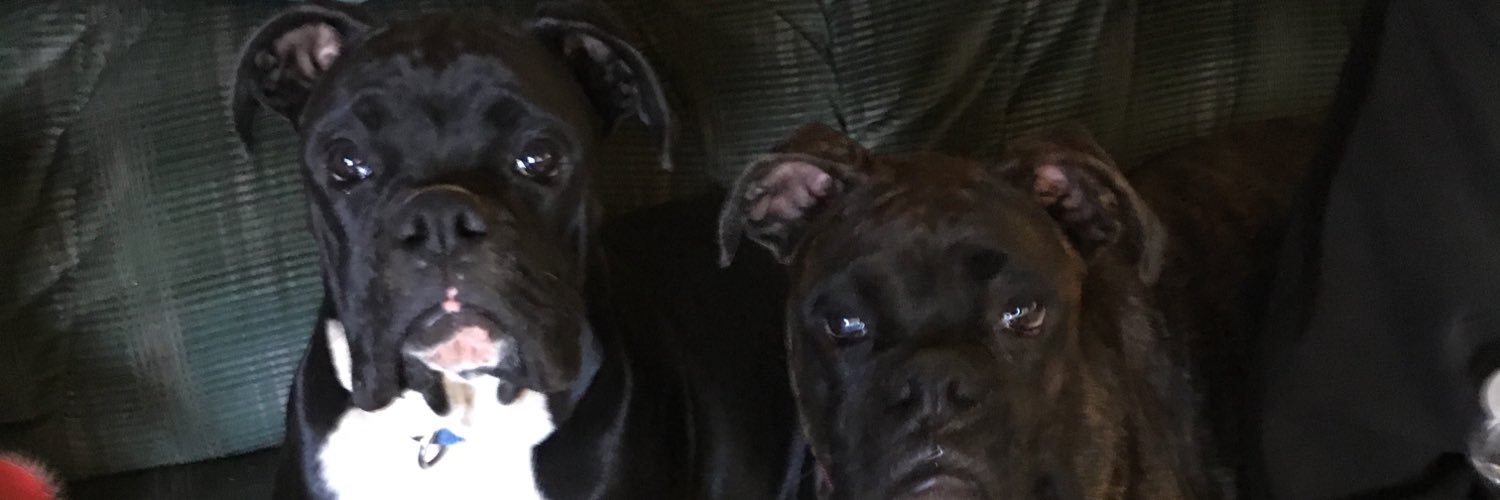 DatNillaDzz's profile banner image